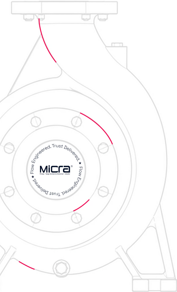 Micra Pump